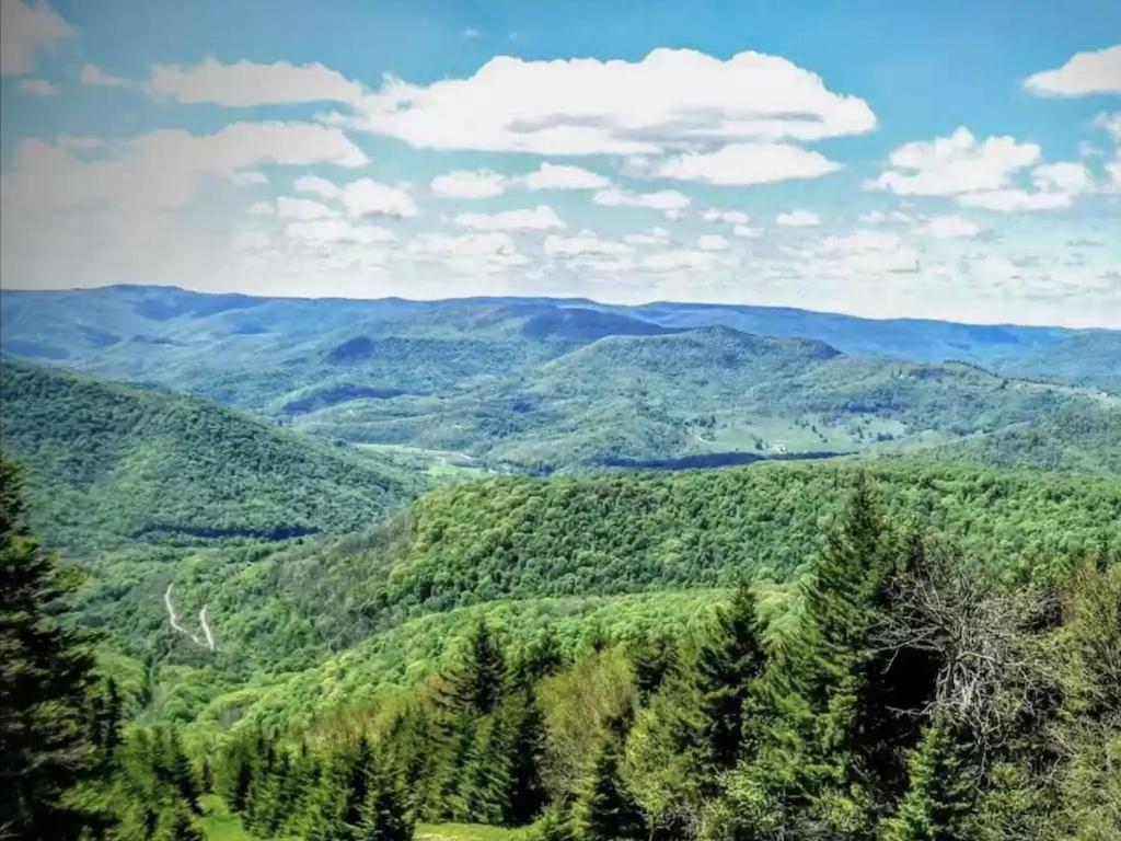 Enjoy The Long Range View, Ski In N Out Top Of The Mountain Condo 스노우슈 외부 사진